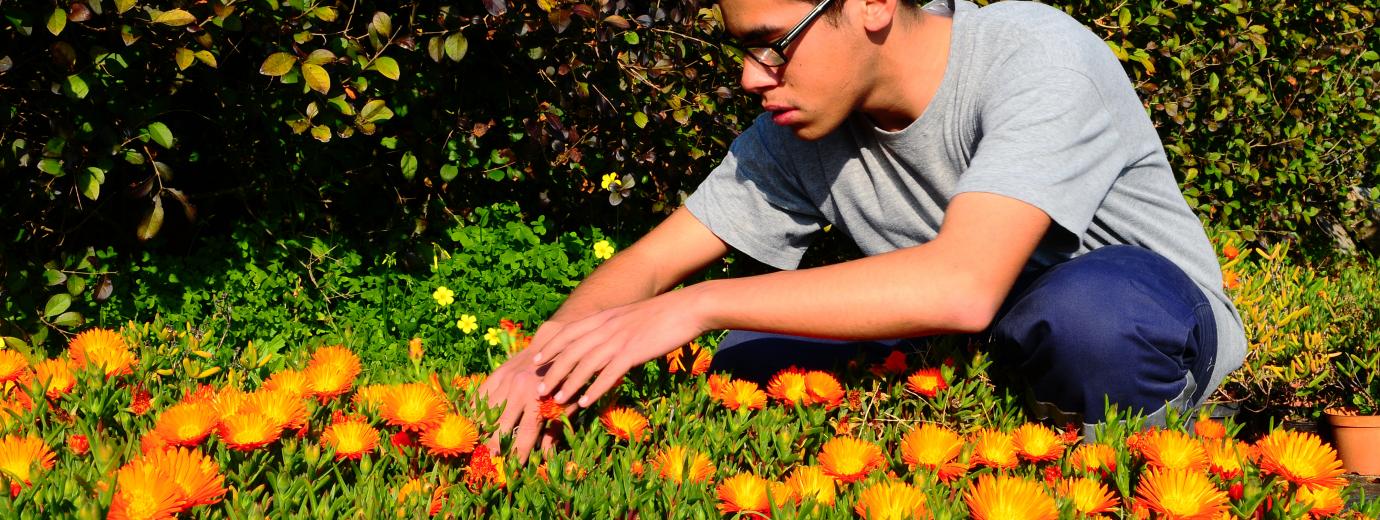 homepage-carousel-image2