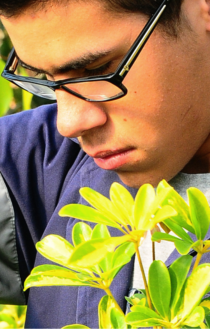 image of a man on a garden